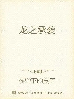 《撼世龙吟》小说封面