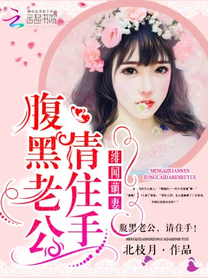 《绯闻萌妻：腹黑老公，请住手！》小说封面