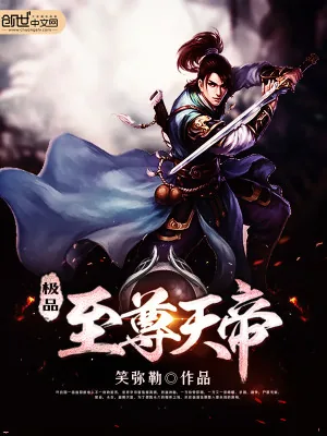 《极品至尊天帝》小说封面