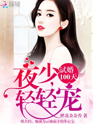 《试婚100天：夜少，宠上瘾》小说封面