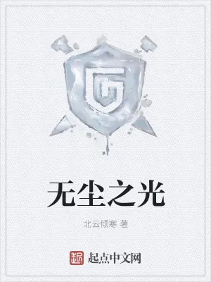 《无尘之光》小说封面