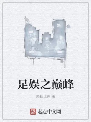 《足娱之巅峰》小说封面