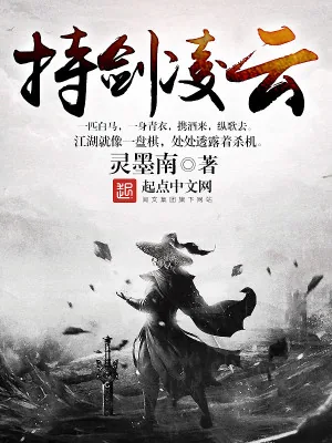 《持剑凌云》小说封面
