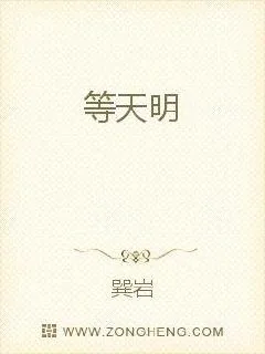 《等天明》小说封面