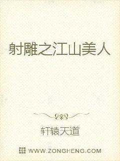 《射雕之江山美人》小说封面