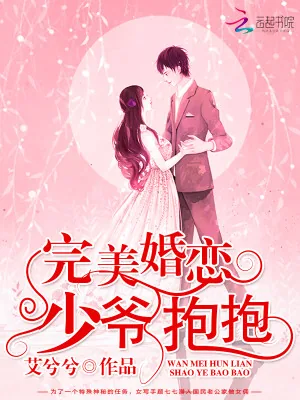《完美婚恋：少爷，抱抱》小说封面