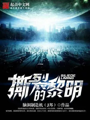 《撕裂的黎明》小说封面