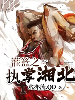 《灌篮之执掌湘北》小说封面