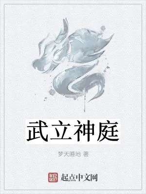《武立神庭》小说封面