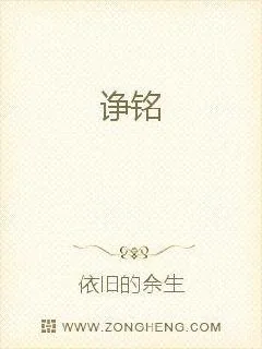 《诤铭》小说封面