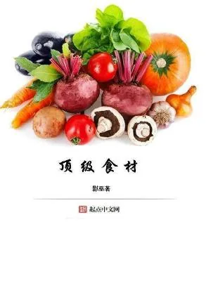 《顶级食材》小说封面