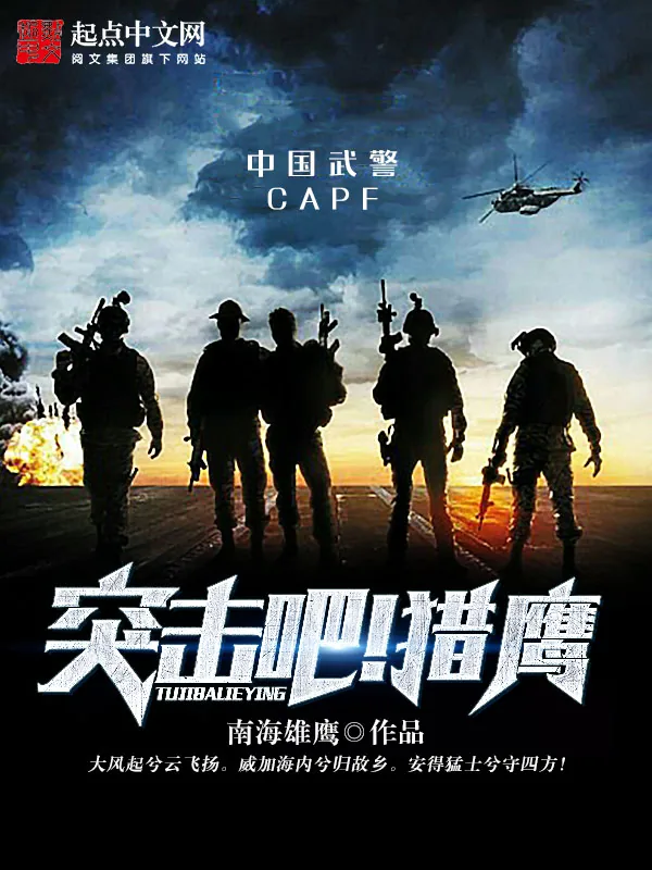 《突击吧！猎鹰》小说封面