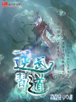 《逆武习道》小说封面