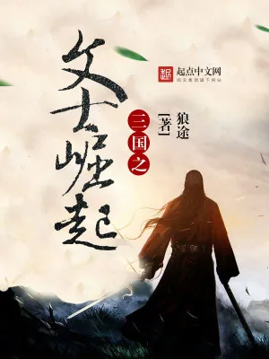 《三国之文士崛起》小说封面