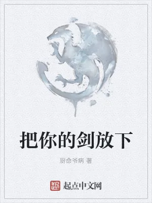 《把你的剑放下》小说封面