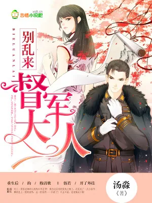 《督军大人，别乱来》小说封面