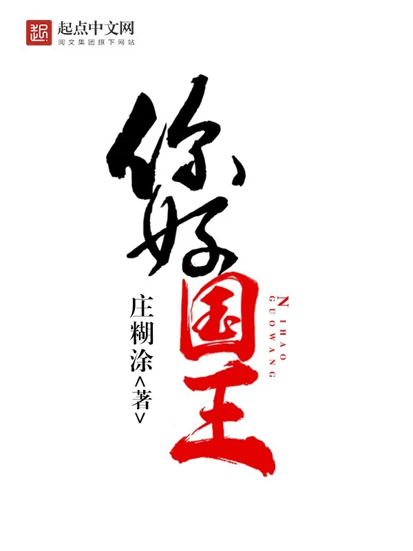 《你好国王》小说封面