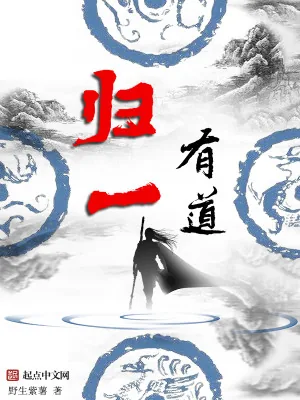 《归一有道》小说封面