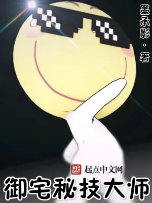 《御宅秘技大师》小说封面