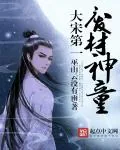 《大宋第一废柴神童》小说封面
