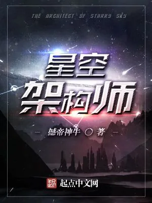 《星空架构师》小说封面