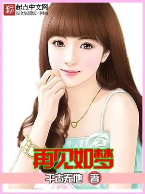 《再见如梦》小说封面