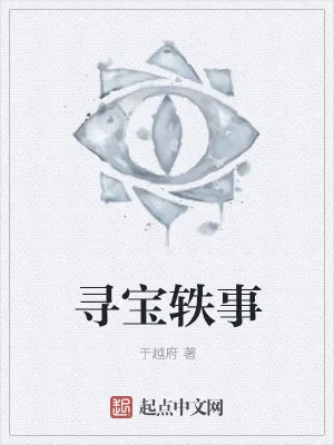 《寻宝轶事》小说封面