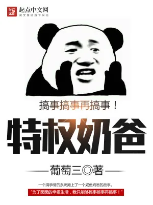 《特权奶爸》小说封面