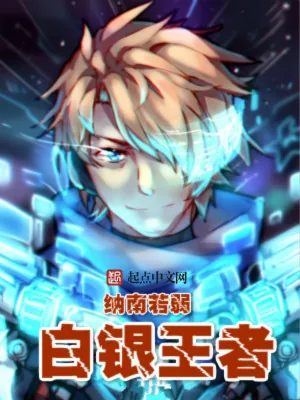 《白银王者》小说封面