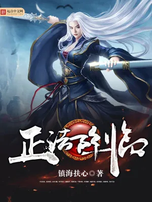 《正法降临》小说封面