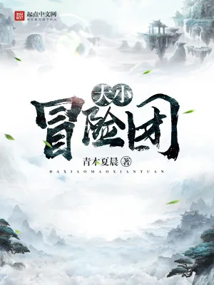 《大小冒险团》小说封面