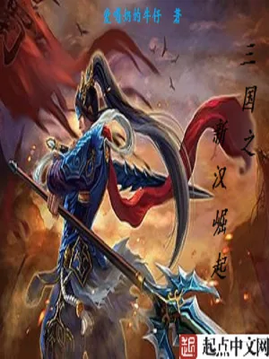《三国之新汉崛起》小说封面