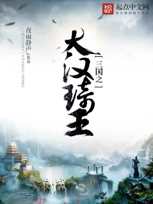 《三国之大汉琦王》小说封面