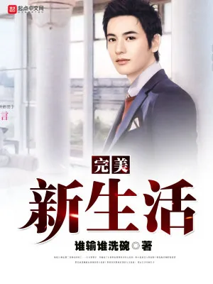 《完美新生活》小说封面