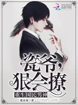 《瓷爷，狠会撩》小说封面