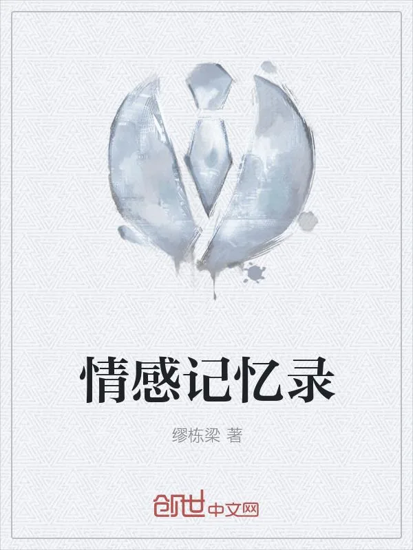 《情感记忆录》小说封面