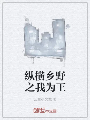 《纵横乡野之我为王》小说封面