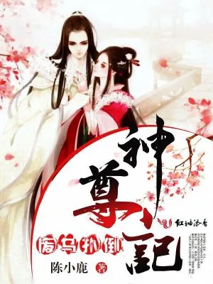 《废鸟扑倒神尊记》小说封面
