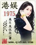 《港娱1975》小说封面