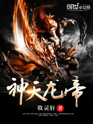 《神天龙帝》小说封面