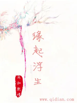 《缘起浮生》小说封面