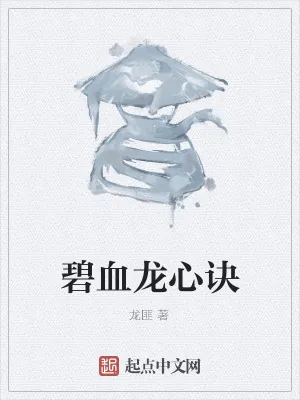 《碧血龙心诀》小说封面