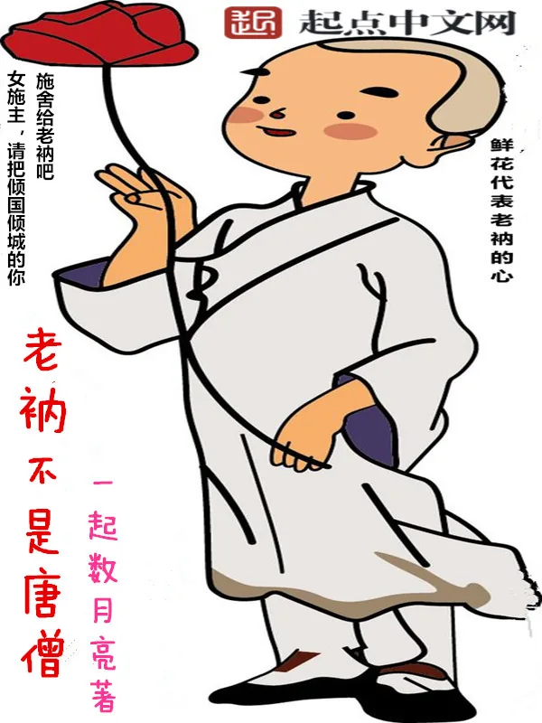 《老衲不是唐僧》小说封面