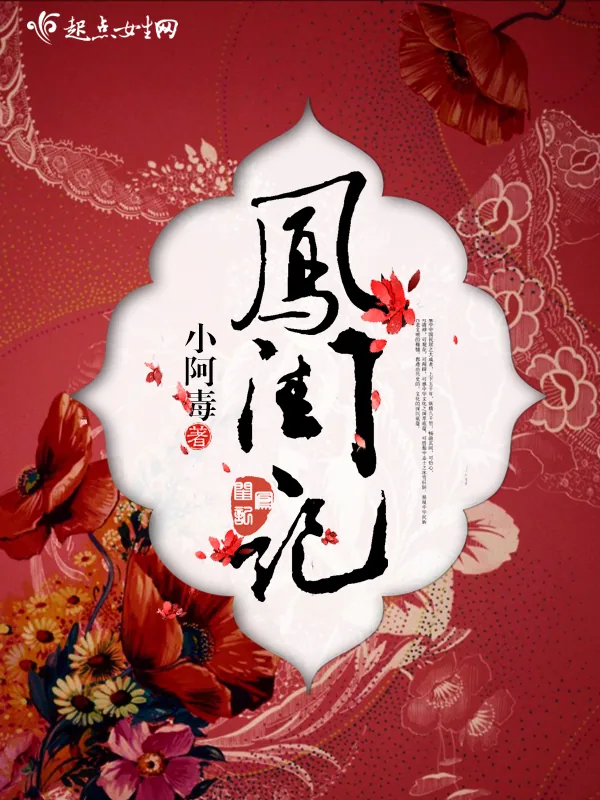 《凤闺记》小说封面