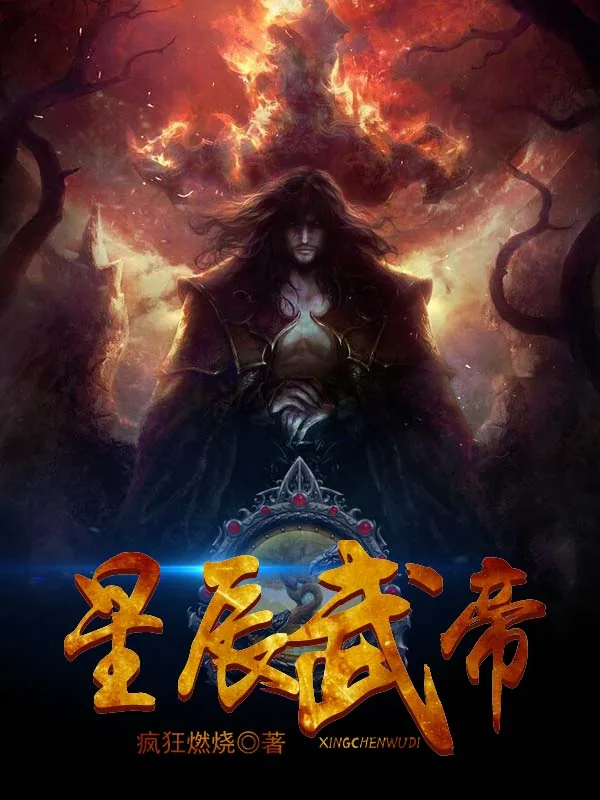 《星辰武帝》小说封面