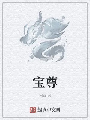 《宝尊》小说封面