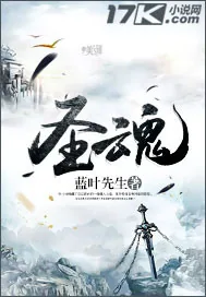 《圣魂》小说封面