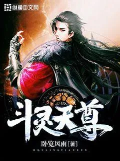 《斗灵天尊》小说封面