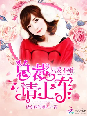《只爱不婚：总裁请上车》小说封面