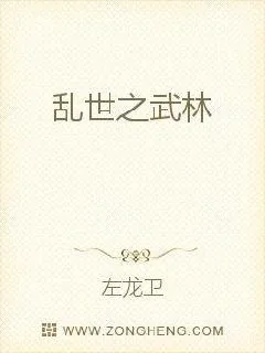 《乱世之武林》小说封面
